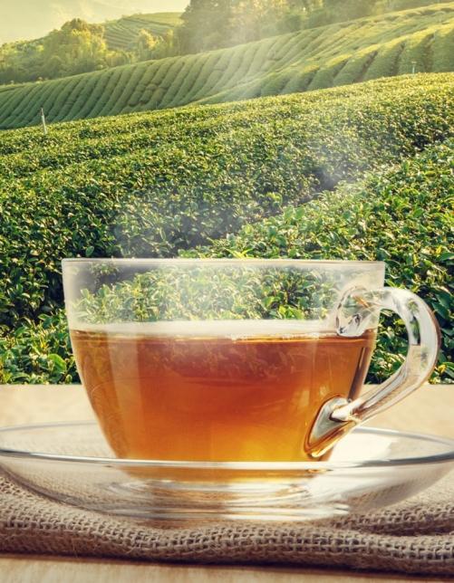 Best Tea Recipes for Digestion 